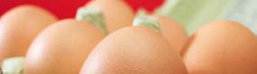 Dairy Produce
